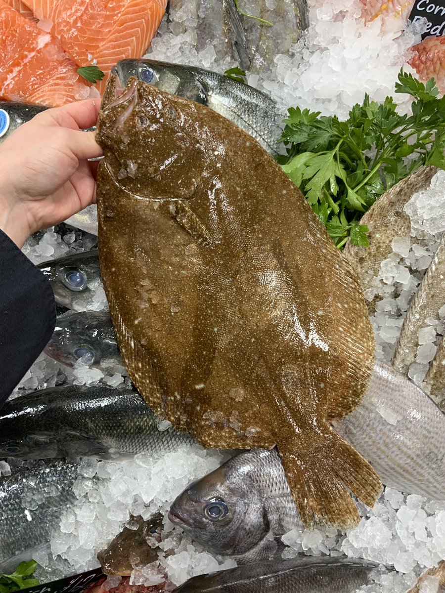 Passion4fish's tweet photo. IT’S A #FLATFISHFIESTA 🐠

#FabulousFish #FishFriday #TeamFish #Passion4Fish #FishmongerLife https://t.co/ETkcvGO51A