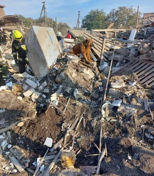 UkraineworldD's tweet photo. Der Name dieses Hundes ist Krim. Er verlor heute seine ganze Familie mit 2 Kindern nach dem 🇷🇺 Raketenangriff auf Dnipro. Der verwirrte Hund weinte und wollte die Ruinen seines Hauses nicht verlassen. Er wurde als Welpe von der russisch besetzten Halbinsel Krim entführt. https://t.co/X29Mpmx66Y