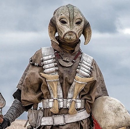 Whiphid's tweet photo. Silvasu Fi’s species finally got a name! Welcome the Namara to the #StarWars universe. #Andor https://t.co/1Gk1PbxrX7
