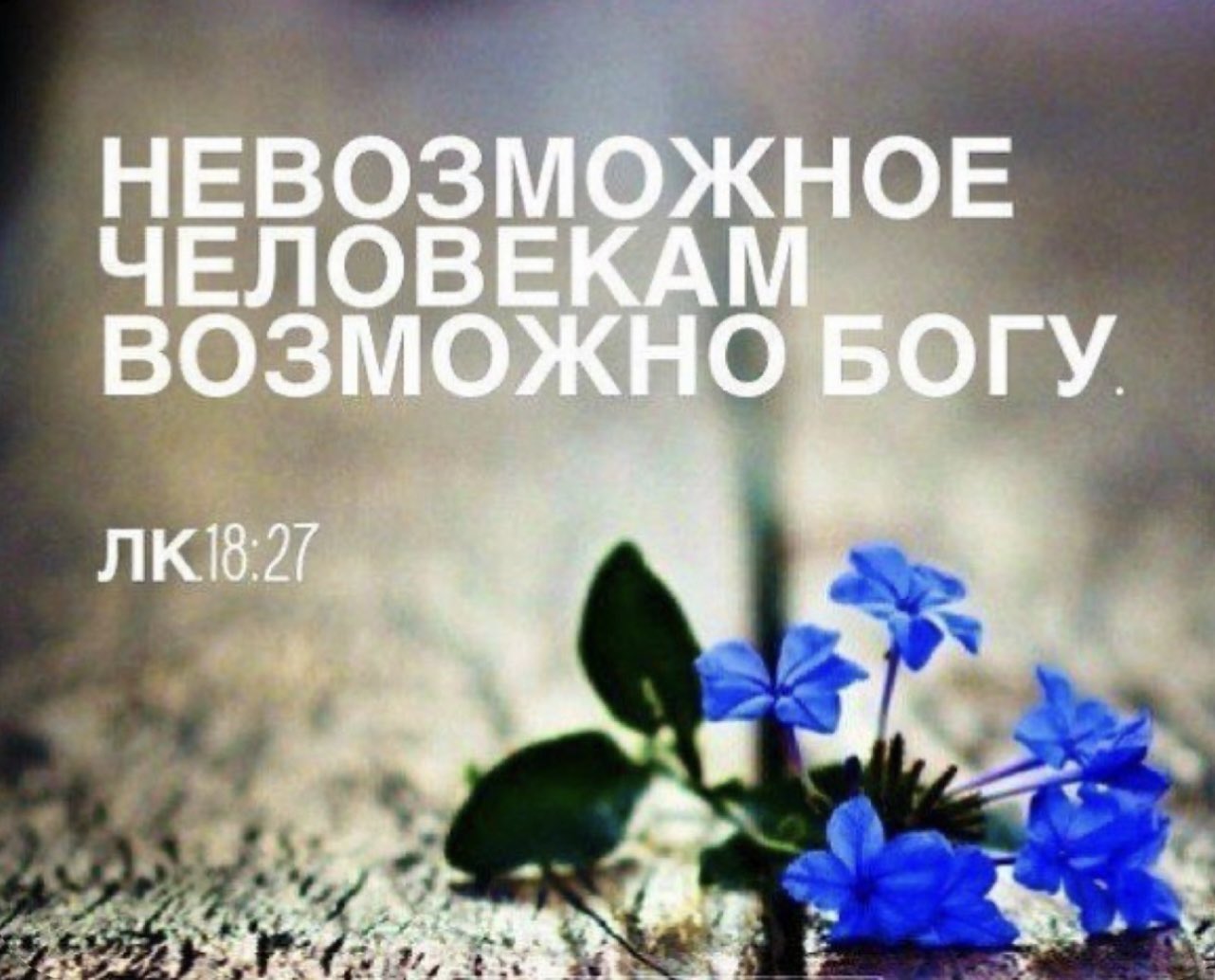 Библейские цитаты