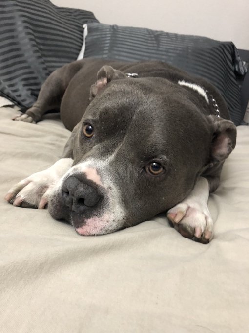 his eyes ... https://t.co/afq3A1osJg<a href="/tag/footfetish"class="tags"><span>#footfetish</span></a><a href="/tag/feet"class="tags"><span>#feet</span></a><a href="/tag/wrinkledsoles"class="tags"><span>#wrinkledsoles</span></a>