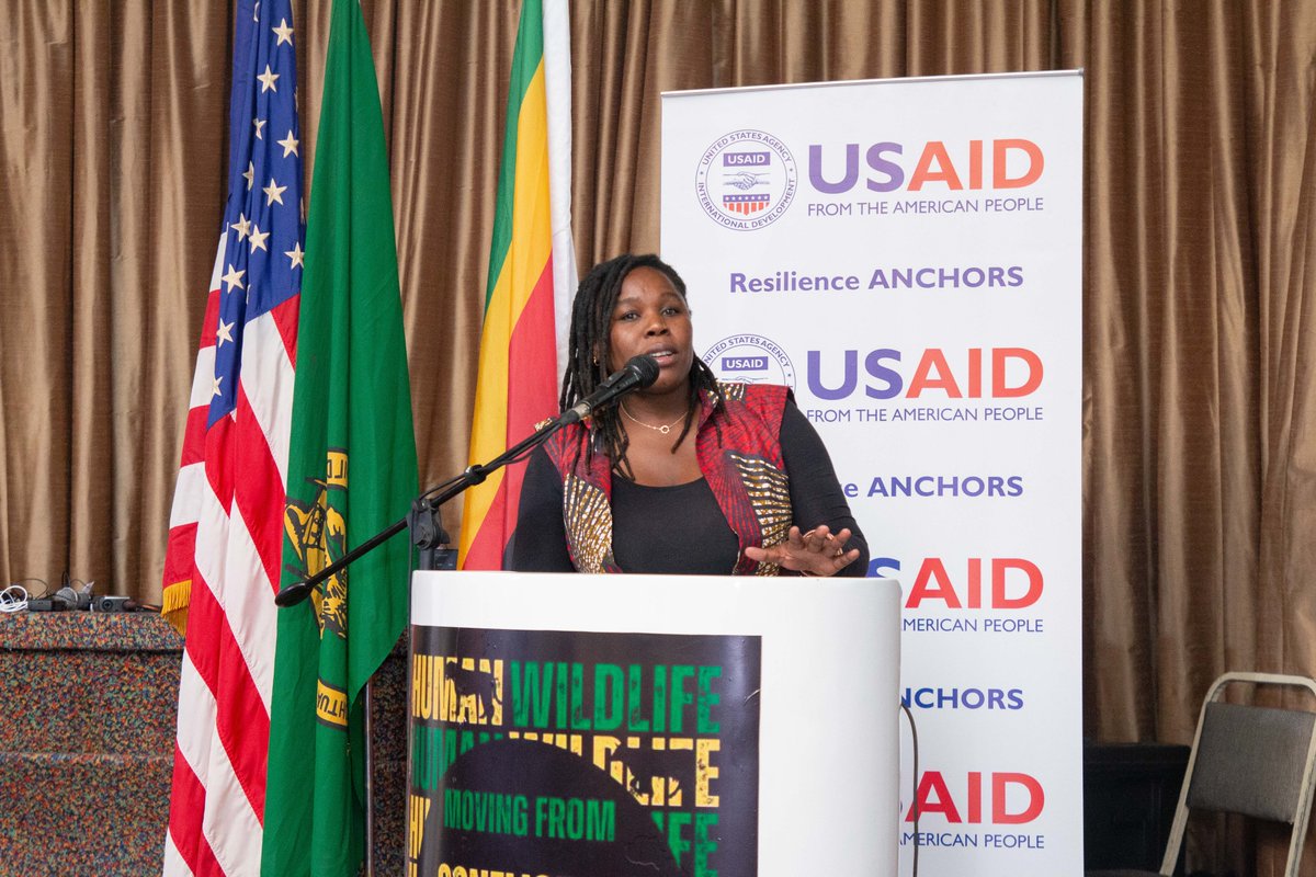 ValleyZambezi's tweet photo. Last week, @UsaidZimbabwe brought together over 150 stakeholders from across the country to discuss research and strategies to move from #humanwildlifeconflict to #humanwildlifecoexistence. Get a full summary of the workshop here: https://t.co/ZL47Ir2Lyu https://t.co/xb6Z1dAxPu
