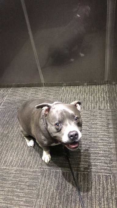 this boy right here... https://t.co/XPewwbU725<a href="/tag/nipples"class="tags"><span>#nipples</span></a>