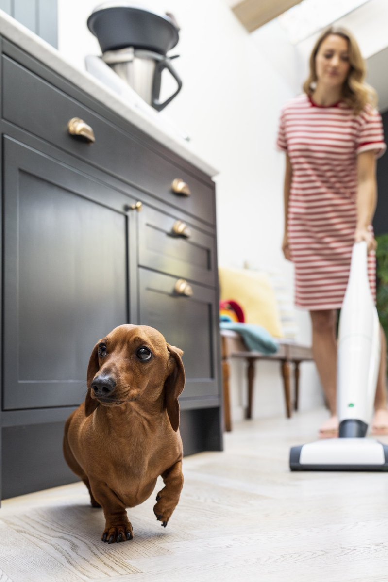 Cheeky four legged friends can leave their mark around the home. 🐾

From malting to mucky paws – make sure you’re equipped with our fast action vacuums to ensure a fast and easy clear up whenever it’s needed! 👏🏻⚡️

vorwerk.co.uk/en/c/home/prod…