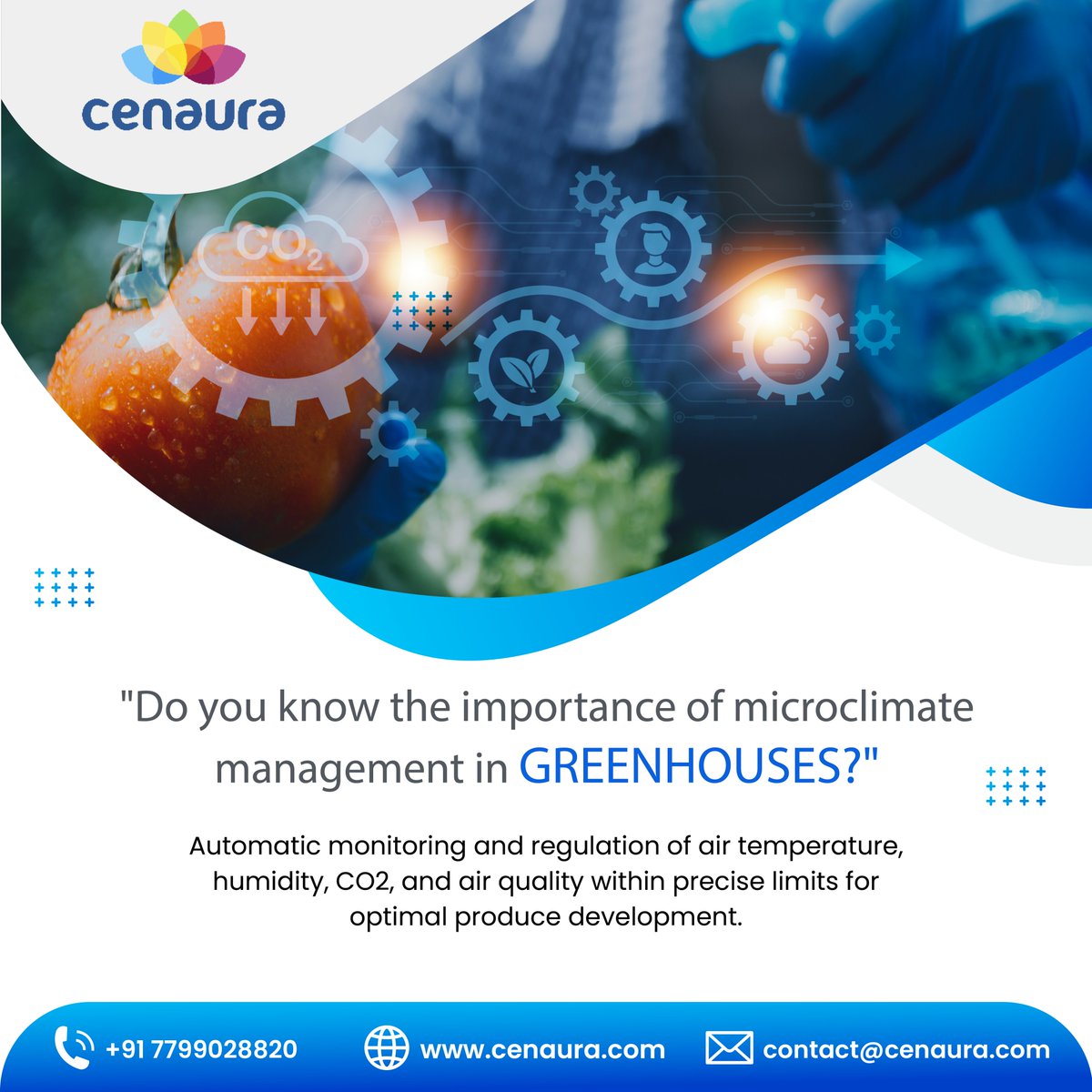 cenauratech's tweet photo. "Do you know the importance of microclimate management in GREENHOUSES?"
#greenhouse #plants #gardening #garden #plantsofinstagram #nature #plantsmakepeoplehappy #flowers #green #growyourown #plant #cannabis #houseplants #hydroponics #indoorplants #urbanjungle #plantlover https://t.co/FZFgud94jl