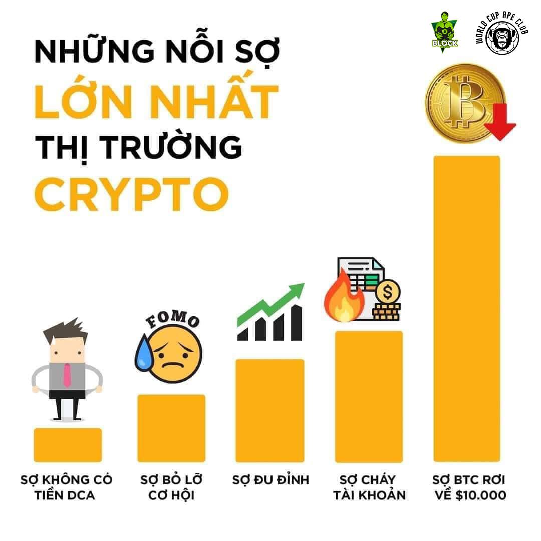 BlockChannelVN's tweet image. Anh em sợ gì nhất nào?
#blockchannel #Worldcupapeclub