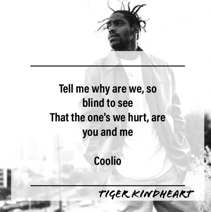 daly insaf tweet media