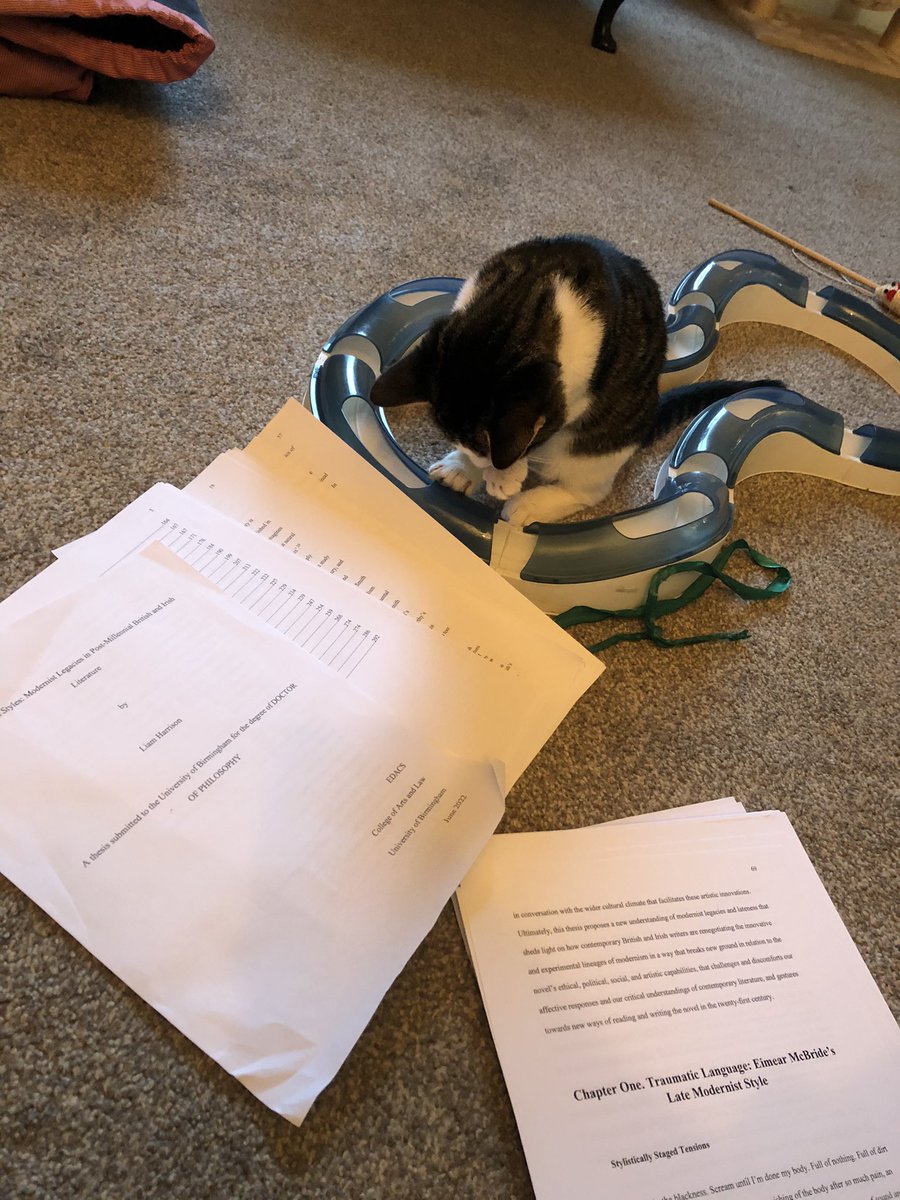 Liam Harrison tweet media