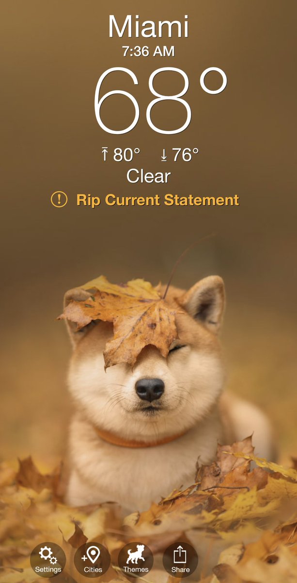 WeatherPuppy's tweet photo. @bunsen Woof! https://t.co/fFKgYRlVuz