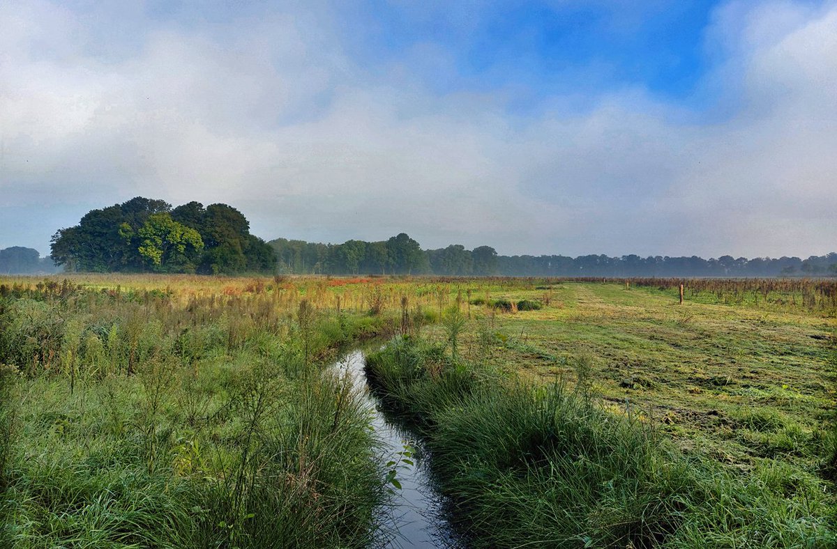 HeijdenJozef's tweet photo. Beekdal van de #Raamsloop - Lage Mierde
@BoswachterFrans @waarneming @PloegamBV @wddommel https://t.co/ivPf0vijWY