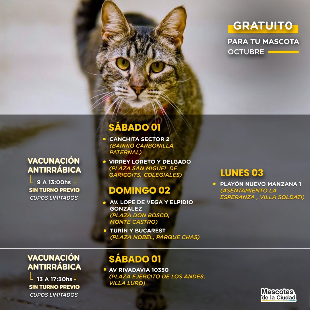 VACUNACIÓN ANTIRRÁBICA GRATUITA 💉🐶😺

📅 Sábado 01 de octubre – Vacunación antirrábica (Sin turno previo) de 13 a 17:30 h
📍 Plaza Ejercito de los Andes - Av. Rivadavia 10350 (Villa Luro)