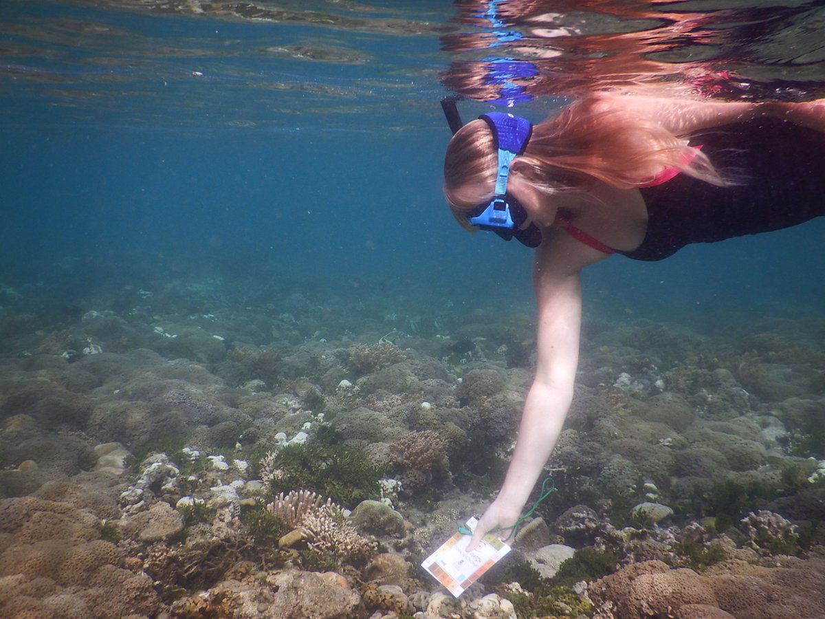ElinThompson5's tweet photo. Happy to announce I will be joining @plastictides on their Global Youth Mentor (GYM) program. I will be a mentor for youths across the globe to make a tangible difference in their own community. I can't wait to help future #youthleaders tackle the plastic and climate crisis’! https://t.co/y8FNHU18sm