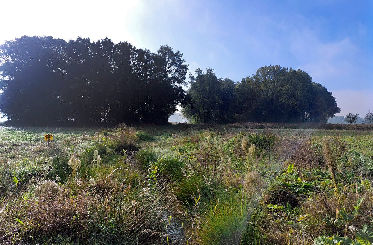 HeijdenJozef's tweet photo. Beekdal van de #Raamsloop - Lage Mierde
@BoswachterFrans @waarneming @PloegamBV @wddommel https://t.co/ivPf0vijWY