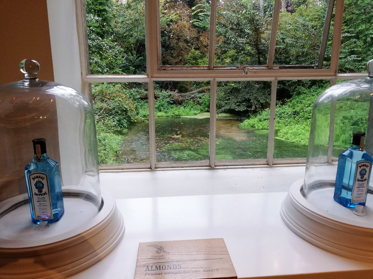 Geyser_Funny's tweet image. As you may notice, the skies were a little cloudy on the day of our visit. But due to the Umbrellas provided by #BombayDistillery, the only thing that poured that day was exemplary gin, detailed history, &amp;amp; the flow of the River Test.

An experience I recommend with no hesitation.