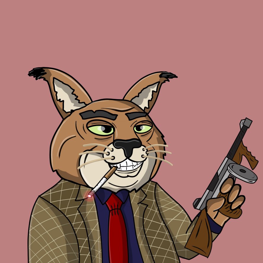 SolCaracals's tweet image. First 222 interactions will be considered for Floppa OG.