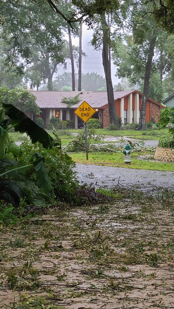 moerkrum's tweet photo. We made it through Ian 🌀 luckily all our oak trees held up well, some neighbors were not so lucky... internet is still super slow but we never lost power. The yard is a mess but we'll clean up this weekend 💫 https://t.co/LhLC4KTc5K