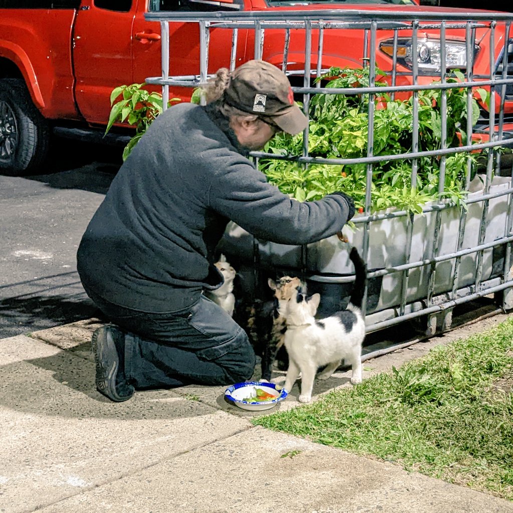 Jackie Gerstein tweet media