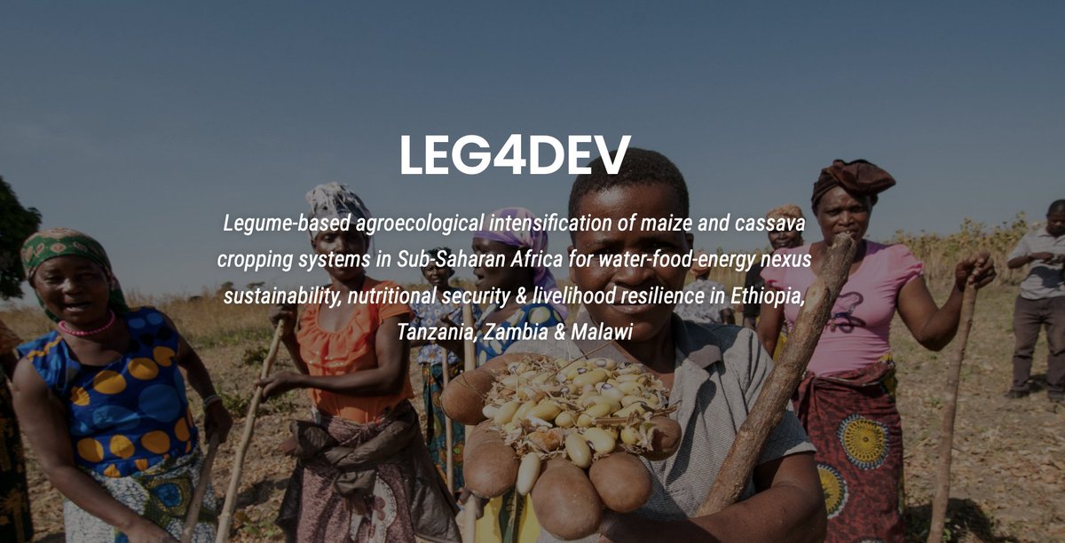 #EU-funded #LEG4DEV research project led by <a href="/RyanInstitute/">Ryan Institute @ University of Galway</a> <a href="/uniofgalway/">Ollscoil na Gaillimhe | University of Galway</a> with partners @ <a href="/IITA_CGIAR/">IITA</a> <a href="/CIMMYT/">CIMMYT</a> <a href="/ILRI/">ILRI.org</a> <a href="/_SLU/">SLU</a> <a href="/WUR/">Wageningen U&R</a> <a href="/UniHohenheim/">Uni Hohenheim</a>, working with national #legume scaling partners in #Zambia, #Malawi, #Tanzania &amp; #Ethiopia