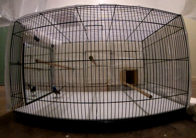 Dr Andrew Katsis tweet media