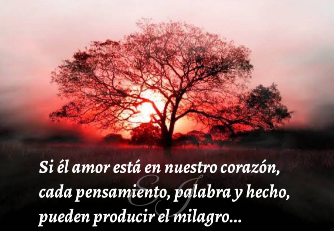 ttbu's tweet photo. Muy buenos días!!! 😀

Que tengan un excelente día!!! ☀️

#amor #milagros https://t.co/4pmhIcdKjK