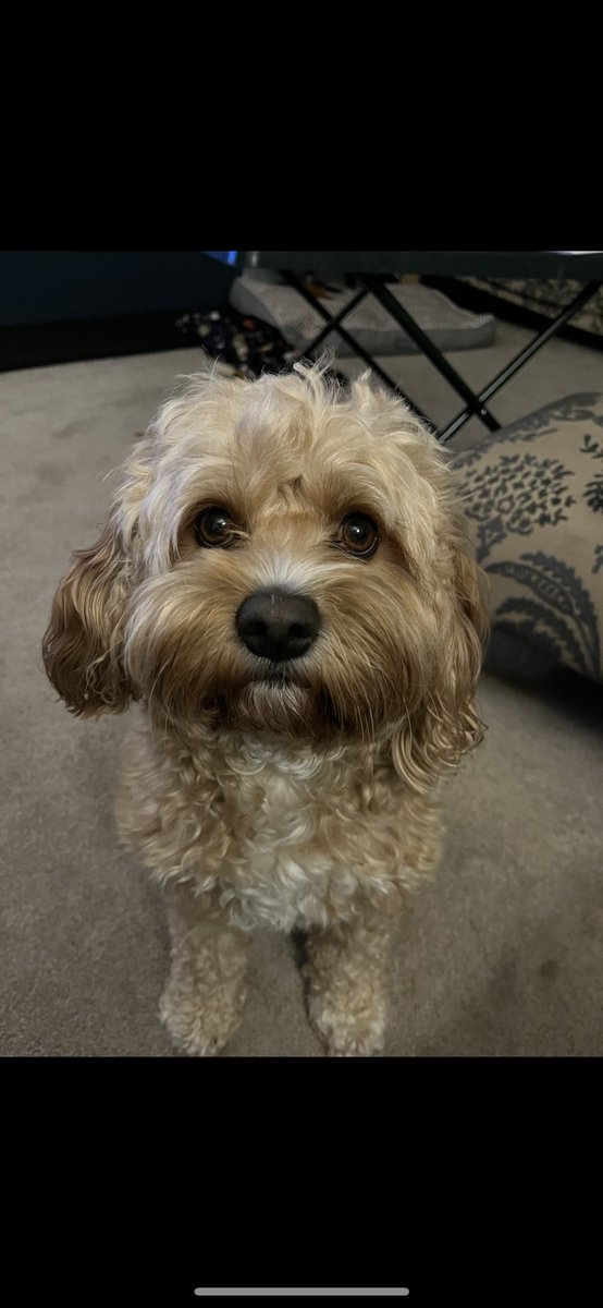 Millie McElhinney tweet media