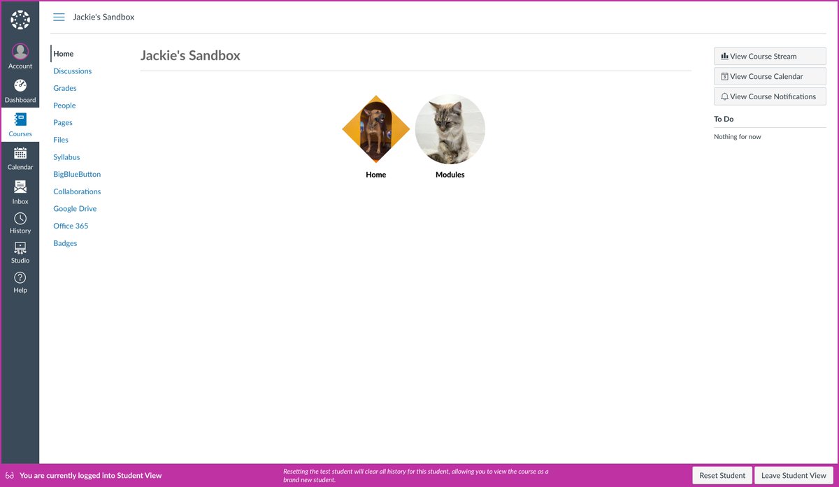 Did you know that you can now 
use custom images in the RCE Icon Maker in 
<a href="/Canvas_by_Inst/">Canvas by Instructure</a> 
? 

Check it out: jmyers.instructuremedia.com/embed/5c984d73…