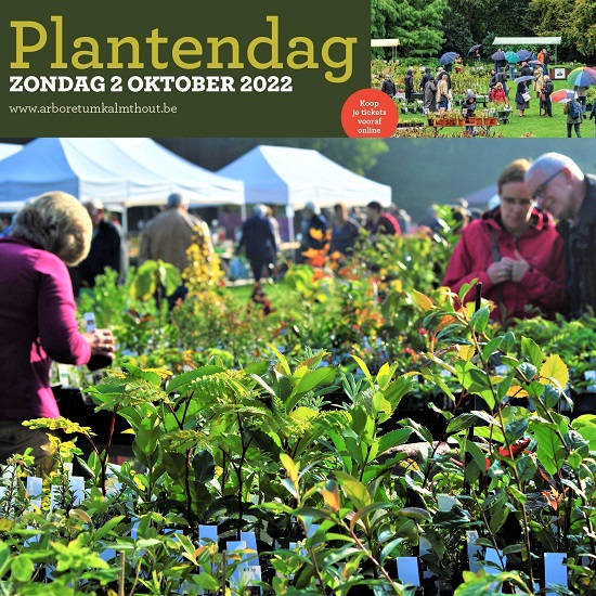 GroenVandaag's tweet photo. 2 oktober: #Plantendag bij Arboretum Kalmthout
Shop bij de beste plantenkwekerijen met de meest bijzondere #tuinplanten, #bollen, #knollen, #voorjaarsbloeiers, #éénjarigen, vaste #planten, #kleinfruit, #struiken en #bomen... teveel om op te noemen.
@arboretumkalmt https://t.co/73PGmKCwD9