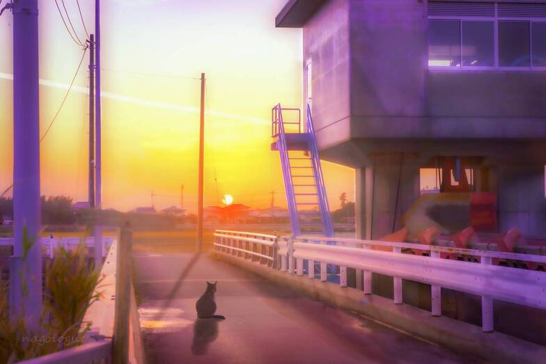 cor_nago_'s tweet photo. 投稿を始めて１ヶ月.
言葉が多過ぎてしまう為に話は控えているのですが,人に見てもらうとはこういう事かと知りました.
お陰様でフォロワーも増え,有難く思います.改めて,宜しくお願いします.

#写真4枚で9月を振り返る
#sns秋の芸術祭2022 
#みんなで楽しむTwitter展覧会 
#写真好きな人と繫がりたい https://t.co/OIjC9IGtUv