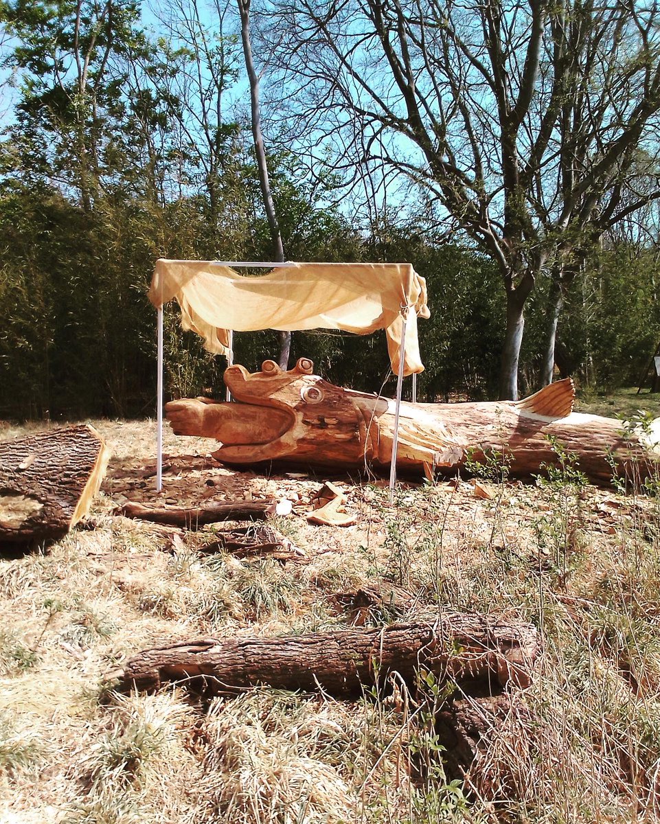 pinna_the's tweet photo. From #niroxsculpturepark hosting our artist Ben Tuge for an #artistresidency The artwork, here still in progress, will consist in a 8 meters long fish exhibited in the park. The exhibition will open on the 1st of October 2022. Congratulations Ben! 🙌🏻
#bentuge 
#woodsculpture https://t.co/3ZCwL4Zw7z