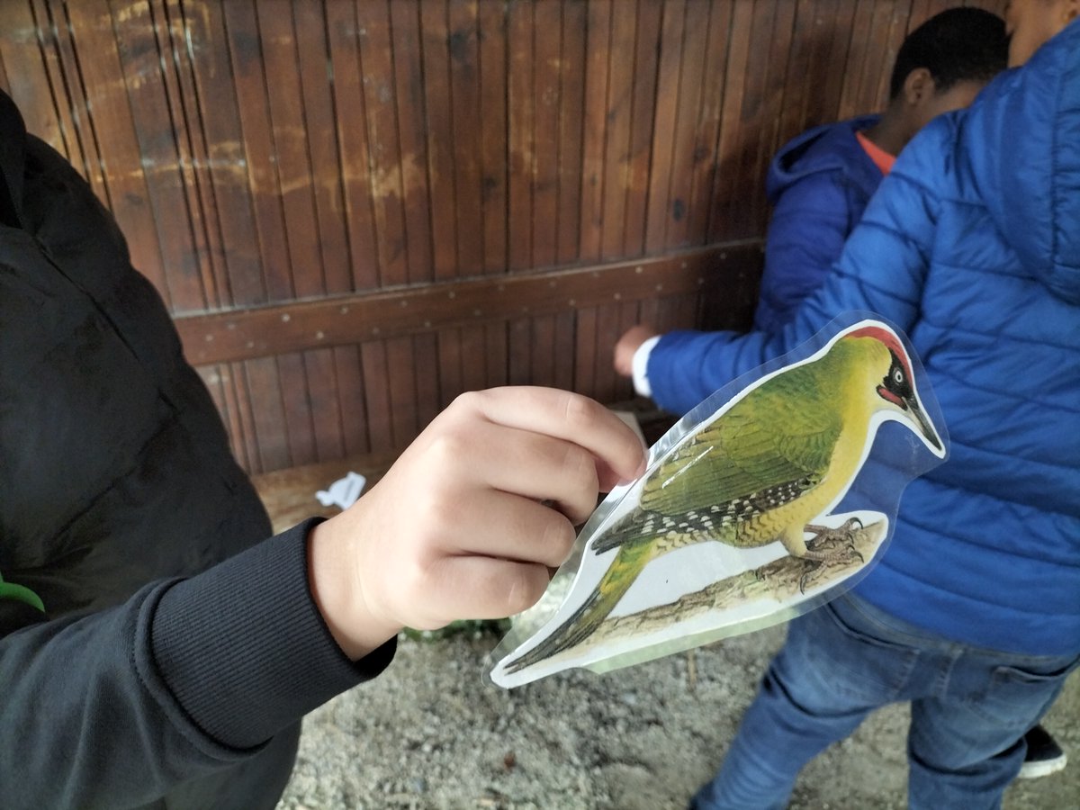 Ecole Trégain tweet media