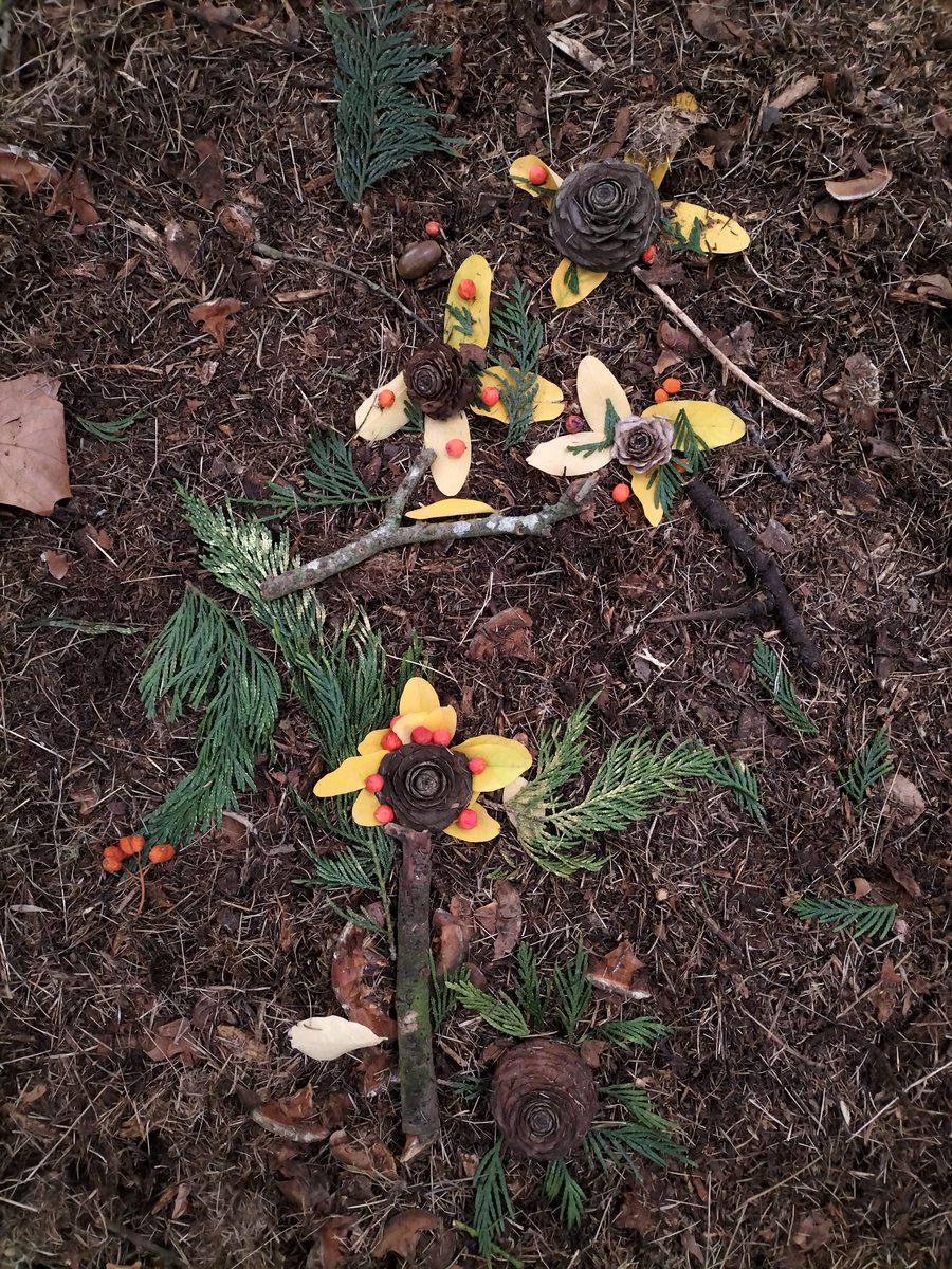 Ecole Trégain tweet media