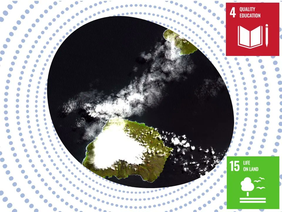 SAJournalofScience tweet media
