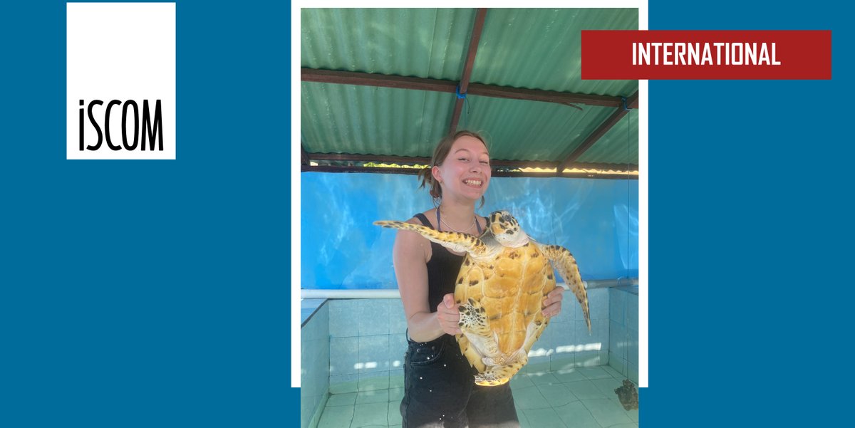 iscom's tweet photo. [INTERNATIONAL]

The2paulines, étudiantes à ISCOM #Lyon, nous livrent les coulisses de leur expérience immersive à Bali dans un centre de protection des tortues. ✈️🐢

➡️ https://t.co/t6CRJKcHmv

#international #WeAreISCOM #ThisISCOM https://t.co/gNshhqZgud