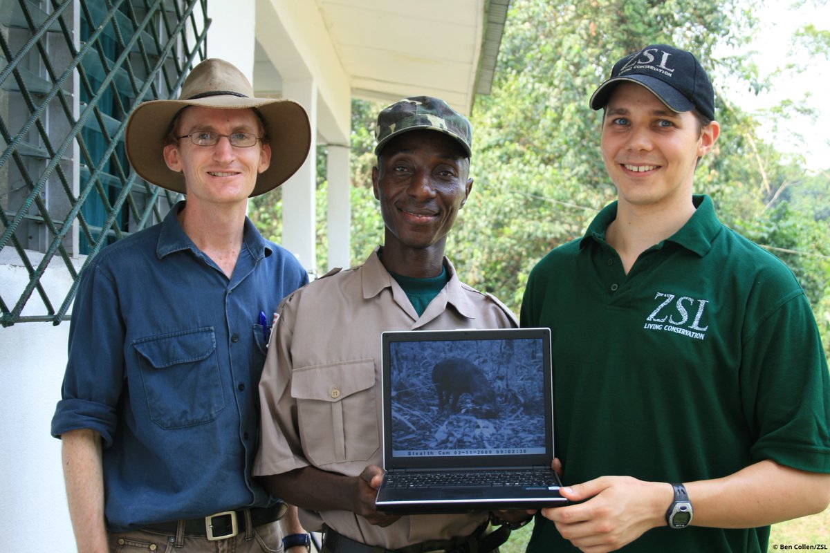 EDGEofExistence's tweet photo. Second in our #15FootstepsForward we have what we believe to be the first photographic records of wild pygmy hippos in Liberia!
EDGE Fellow John Konie and a ZSL team captured the incredible footage in 2008.
Head to our Facebook page to learn more https://t.co/4ADT1ziyXm https://t.co/cE3I2en5e1