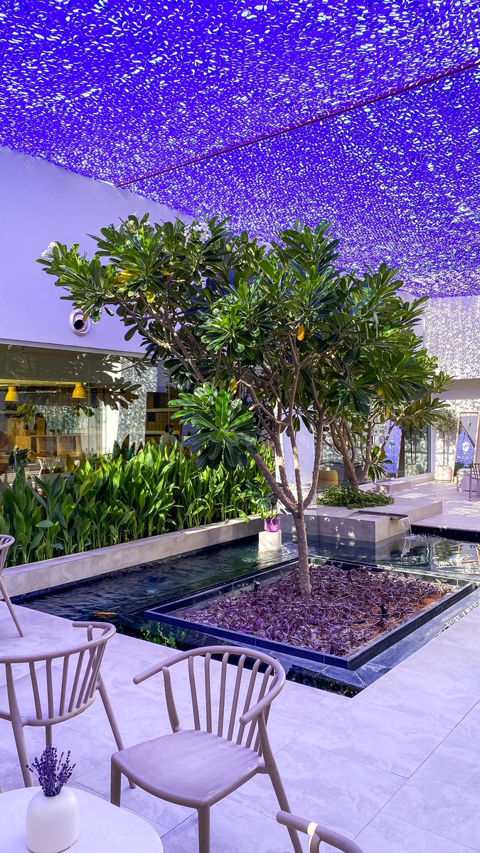 عزّ الرياض ☕️ tweet media