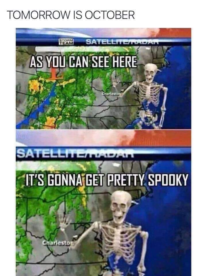 🦇