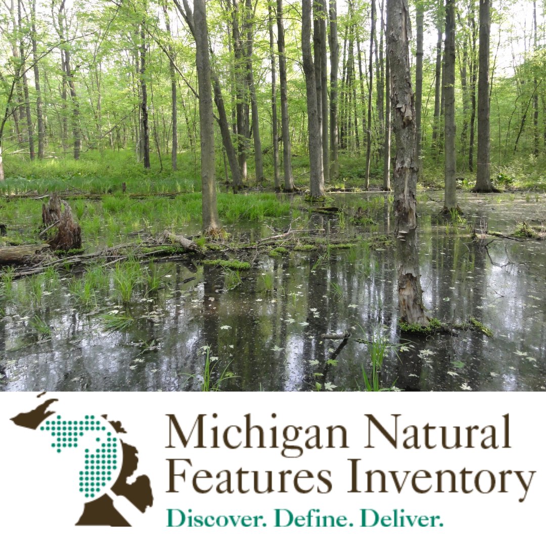 MIVernalPools's tweet photo. Meet one of our partners, @MichiganNFI. A founder and co-lead for MVPP &amp; lead of the Vernal Pool Patrol, they've been generating &amp; disseminating the highest quality scientific information on the location &amp; condition of Michigan's rare species and habitats for more than 40 years. https://t.co/h4614h14Kn