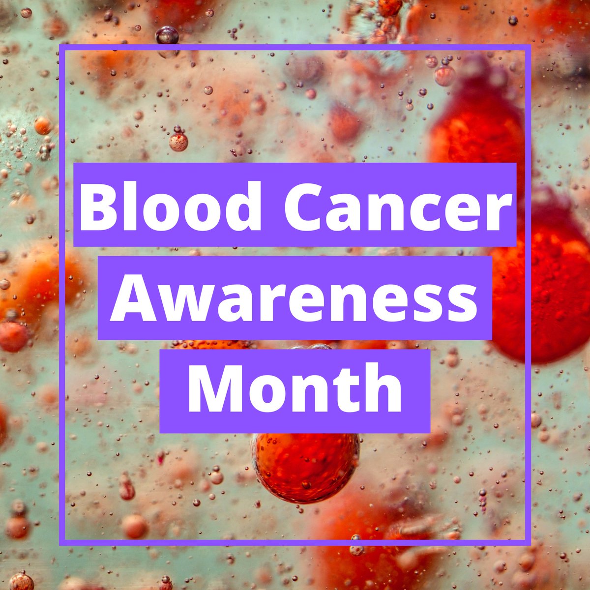 September is Blood Cancer Awareness Month. Our Cancer at Oxford campaign highlights our research into detecting and treating cancer. Learn more about how we are working to turn discoveries into life-saving realities. ⬇ bit.ly/3dN1kGs #ThisIsBloodCancer | #BCAM2022