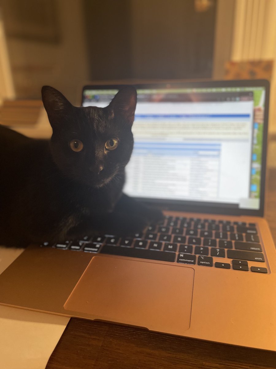 Rebecca O’Dwyer (@bnidhuibhir) on Twitter photo So many amazing applicants for <a href="/RushNeurology/">RUSH Neurology Residency</a> !! Hermione doesn’t know how you all do it!! @NMatch2023 So many amazing applicants for <a href="/RushNeurology/">RUSH Neurology Residency</a> !! Hermione doesn’t know how you all do it!! @NMatch2023