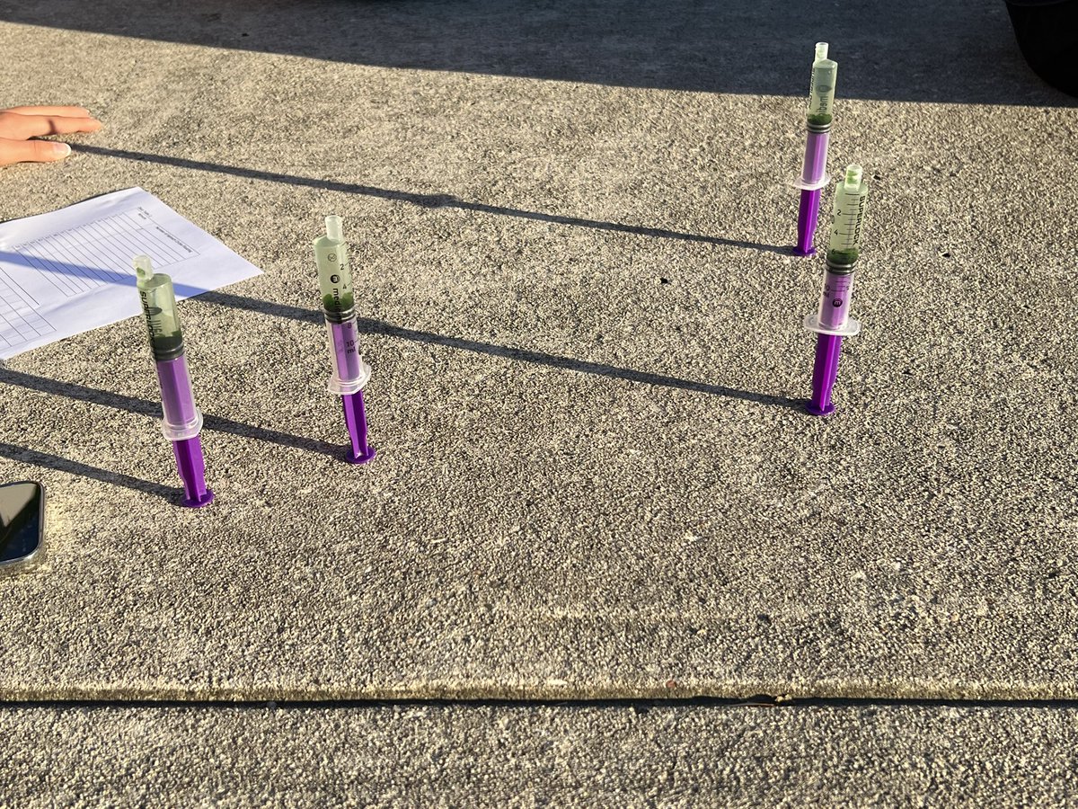 MsDeBottisbio's tweet photo. Photosynthesis floating leaves experiment! ππ@MsDeBottisbio @Humble_2ndSci @MsBaileyKPBTA #ScienceMagicThatsReal #Floatingdisc https://t.co/QgRSPeWe4q