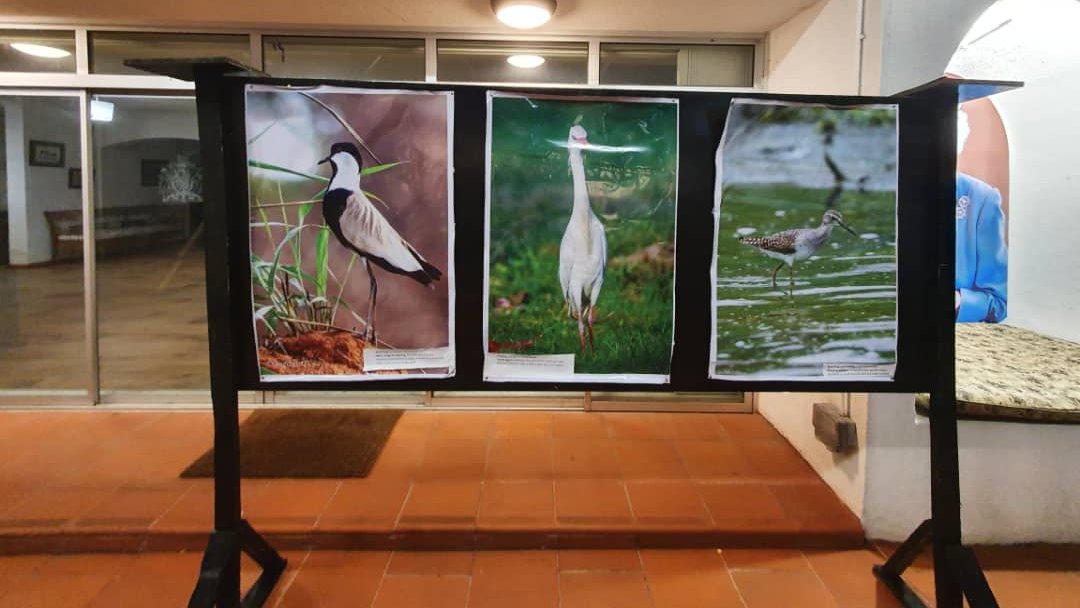 In #Lagos, <a href="/benllewellynjo1/">Ben Llewellyn-Jones</a> hosted key partners to a #WetlandsForManAndBiodiversity Exhibition.

They called for the protection, restoration &amp; conservation of 🇳🇬 #Wetlands which provide essential protection against #pollution and the impacts of #ClimateChange.

 <a href="/followlasg/">The Lagos State Govt</a>