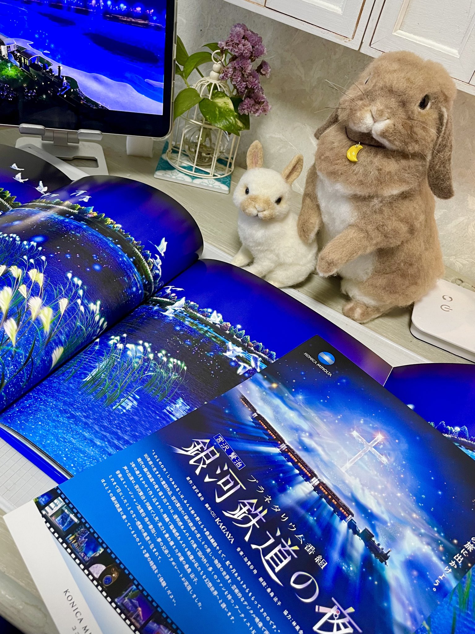 過去作品 動物ポンポン 動物ぽんぽん うさぎ Www Gofigurefit Ca