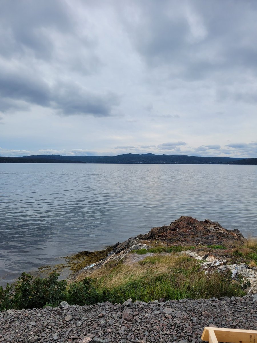 AmandaAdey2's tweet photo. Can't wait to wake up to this view 😍 #saltwaterjoys #contemporaryhouse #Newfoundland #lovethesaltwater #Oceanview #OceansCalling #lotsofglass https://t.co/VxOydSM83I