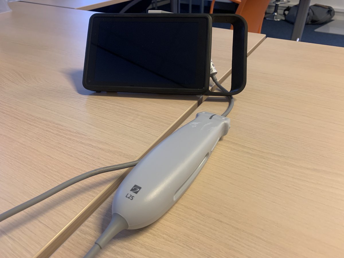 Het "nieuwe normaal" voor internisten: de echografie als basisvaardigheid. Aandacht in de opleiding <a href="/NedInternisten/">Nederlandse Internisten Vereniging</a> en ook voor internisten bij de Snapper cursus in Groningen!