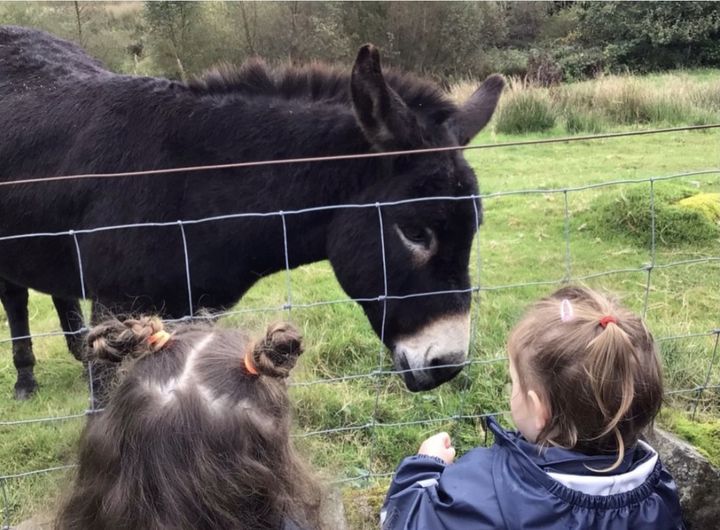 StrachurP's tweet photo. The Pre 5s were saying their daily hello to their friend in the field next to the school π #strachur #strachurpre5unit #friends #fun #outdoors #abcey @abc_OCTF #fun #strachurprimary https://t.co/HPyKze7TkQ