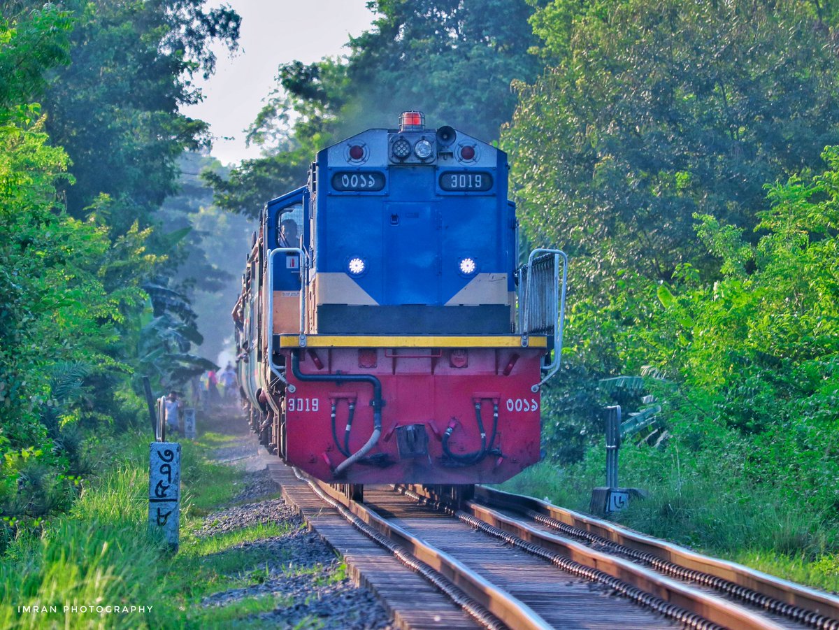 IMRANHASANRAM's tweet photo. Lalmoni Express || Bangladesh Railway.
Joydapur, Gazipur || September, 2022. 

#travelphotographer #trainspotters #trainlovers #bdtrain #bangladeshrailway #ptinka #newlocomotive #lalmoniexpress https://t.co/1G5oUSCf5W