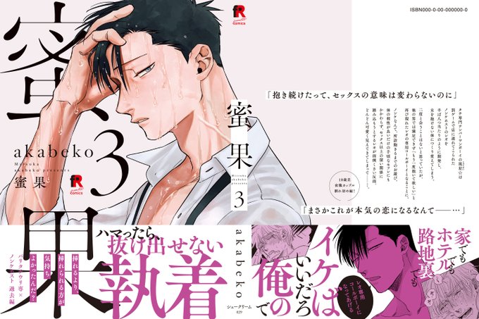 充実の品 密果3巻 akabeko 特典セット 女性漫画 - education.semel