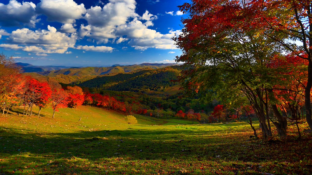 JilinChina's tweet photo. πGo Jilin! #Jilin province has launched special #tourism products and tour routes showcasing its glorious #autumn colors. Take time out and catch some major autumn vibes this National Day holiday! π³π³#JilinDynamicDecade #AutumnInJilin https://t.co/X8XTxwcyBq