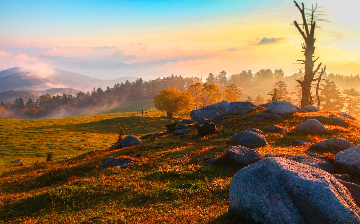 JilinChina's tweet photo. πGo Jilin! #Jilin province has launched special #tourism products and tour routes showcasing its glorious #autumn colors. Take time out and catch some major autumn vibes this National Day holiday! π³π³#JilinDynamicDecade #AutumnInJilin https://t.co/X8XTxwcyBq