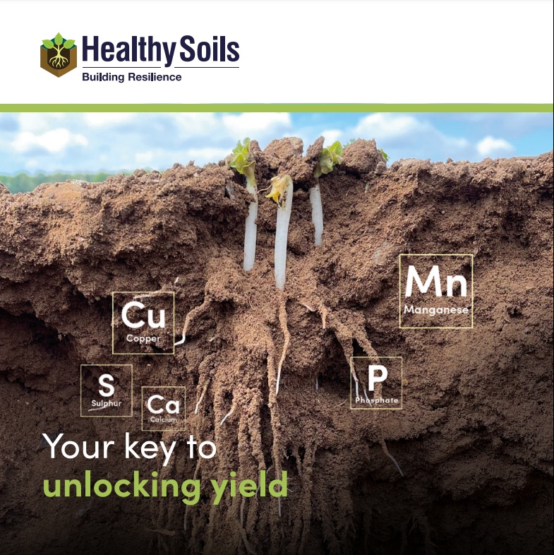 DKB Crop Protection tweet media